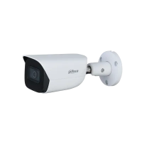 IP-видеокамера Dahua DH-IPC-HFW3441TP-ZAS-S2