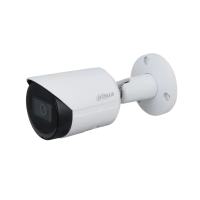 IP-камера Dahua DH-IPC-HFW2230SP-S-0360B
